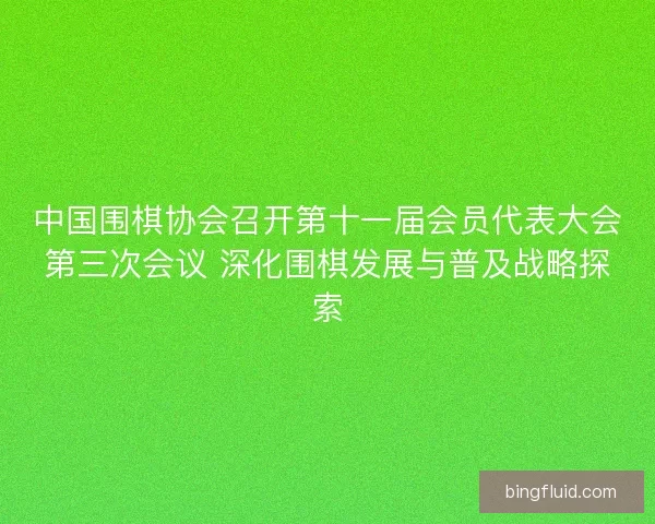 中国围棋协会召开第十一届会员代表大会第三次会议 深化围棋发展与普及战略探索